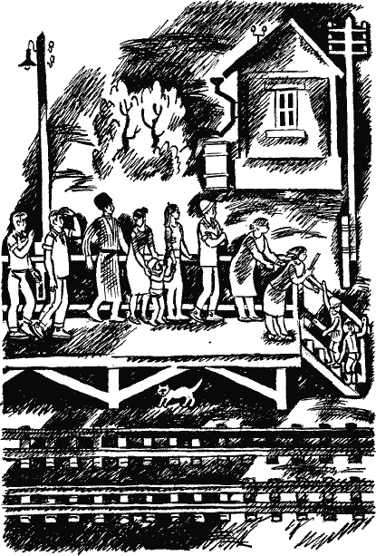 Сними панцирь! - i_003.png