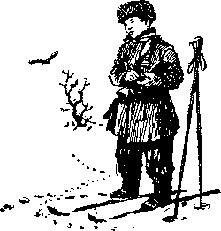 Снежная книга - Snejn042_.png