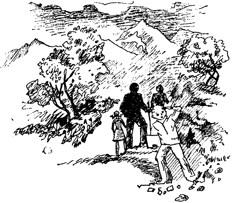 Тайна двухэтажного города - i_003.png