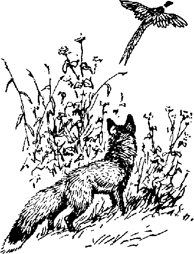 Ущелье барсов - Uschb061_.png