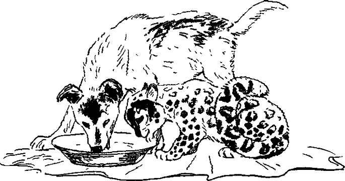 Хозяин небесных гор - i_003.png