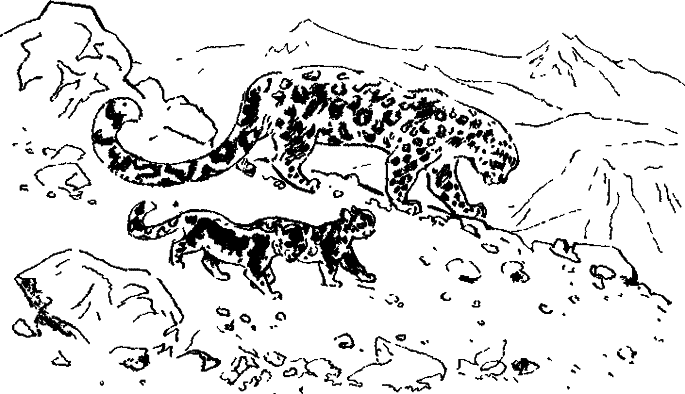 Хозяин небесных гор - i_004.png