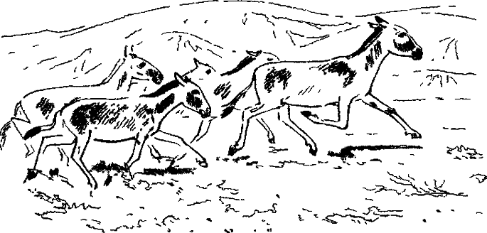 Хозяин небесных гор - i_005.png