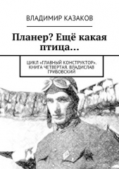 Планер? Ещё какая птица - автор Казаков Владимир 