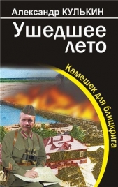 Ушедшее лето. Камешек для блицкрига. - автор Кулькин Александр Юрьевич 