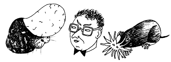 Занимательная медицина - i_038.png