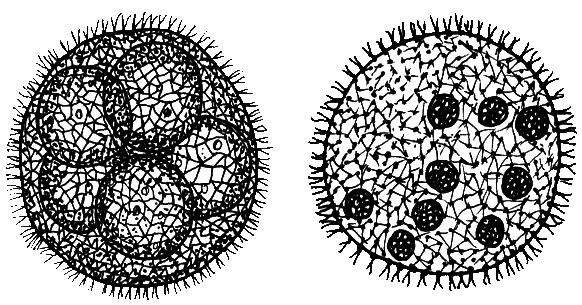 Занимательная медицина - i_061.png