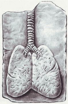 Хочу быть хирургом - i_010.jpg