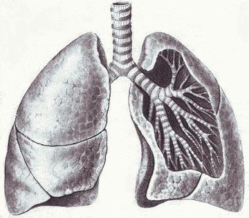 Хочу быть хирургом - i_011.jpg