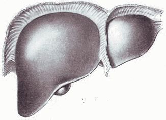 Хочу быть хирургом - i_013.jpg