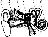 Полный медицинский справочник диагностики - _02.png
