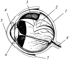 Полный медицинский справочник диагностики - _03.png