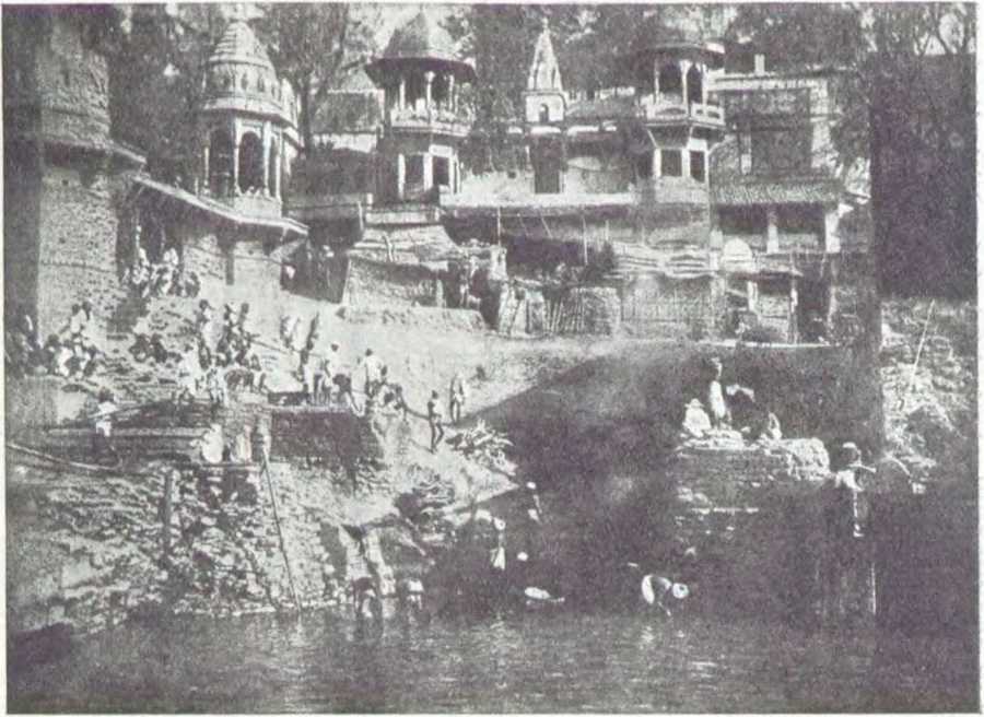 В джунглях Индии - i_006.jpg