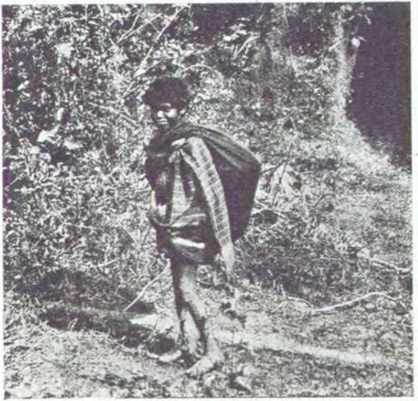 В джунглях Индии - i_015.jpg