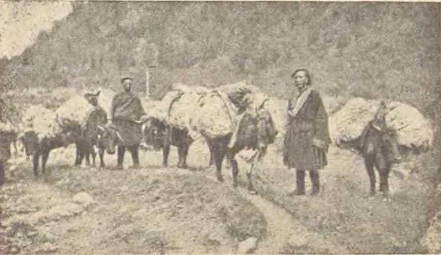 В заоблачной стране - i_008.jpg