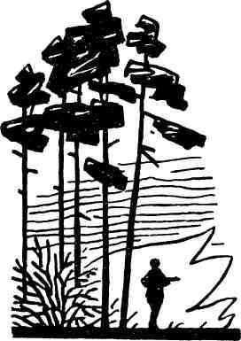 Как солнце дню - img_3.jpeg