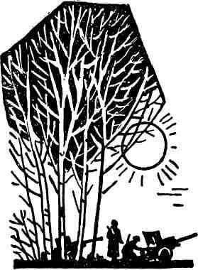 Как солнце дню - img_6.jpeg