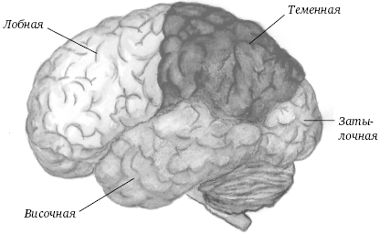 Книга-тренинг для вашего мозга и подсознания - _02.png