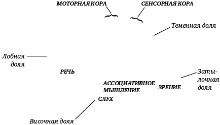 Книга-тренинг для вашего мозга и подсознания - _04.png