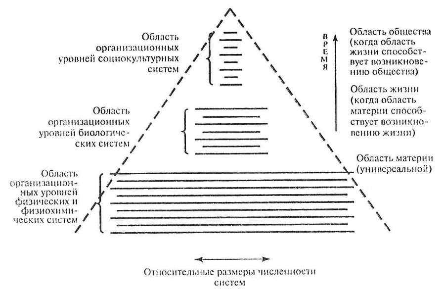 Краткая история всего - _1.jpg