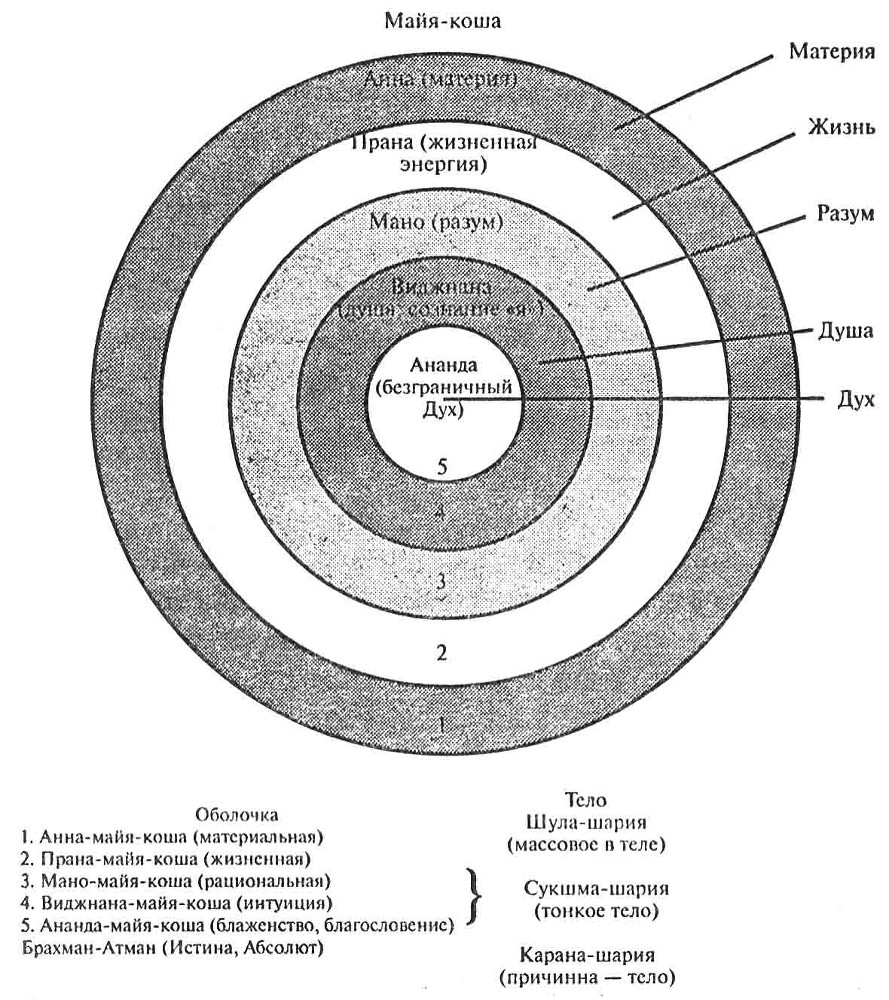 Краткая история всего - _3.jpg