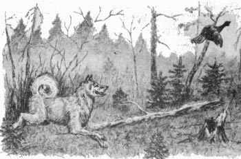 Измена - i_001.jpg