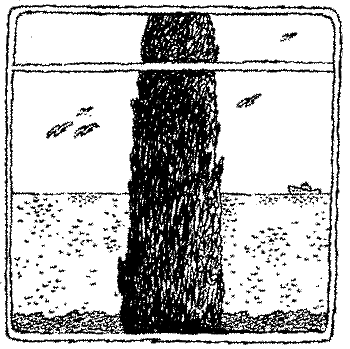 Заметки пассажира. 24 вагона с комментариями и рисунками автора - i_005.png