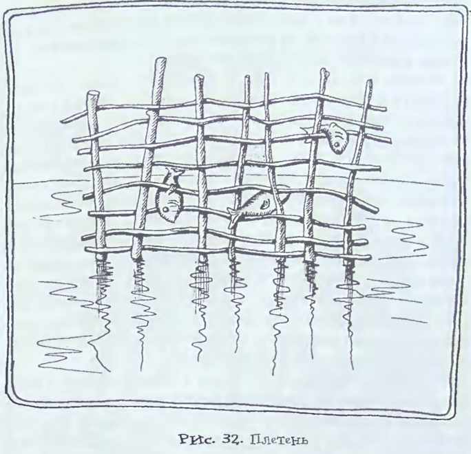 Происхождение человечества - i_036.jpg