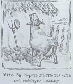 Происхождение человечества - i_043.jpg