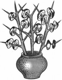 Русская печь - image_1376.jpg