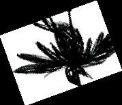 32 способа бросить курить - i_025.jpg