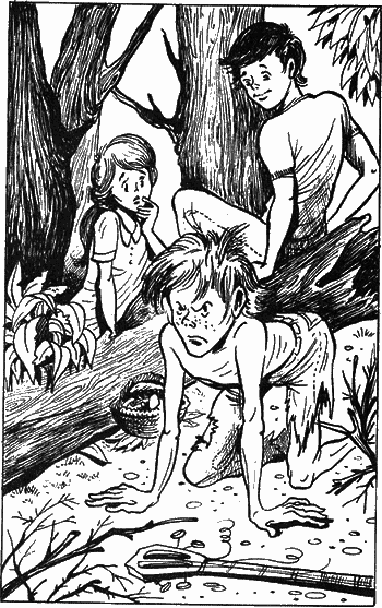 Сказочные повести. Выпуск третий - i_115.png