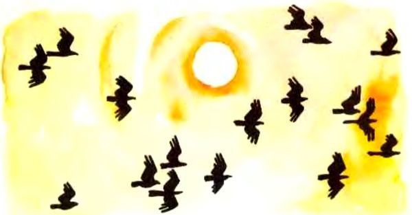 Землянка<br />(Рассказы) - i_003.jpg