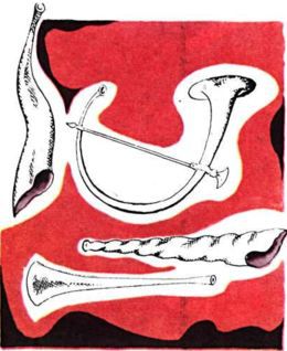 Книга будущих командиров - _021.jpg