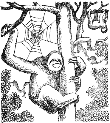 Жизнь лесных дебрей - _10.png