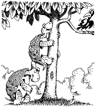 Жизнь лесных дебрей - _29.png