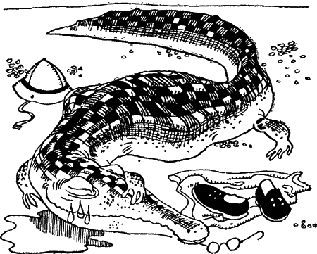 Занимательная физиология - i_010.png