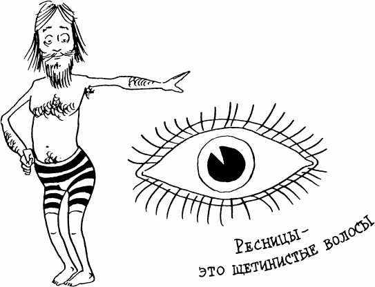 Как устроен человек - _15.png