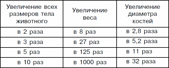 Как устроен человек - _24.png