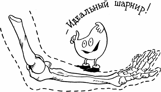 Как устроен человек - _25.png