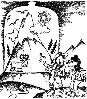 Мир лесных дебрей - i_009.png