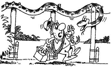 Мир лесных дебрей - i_028.png