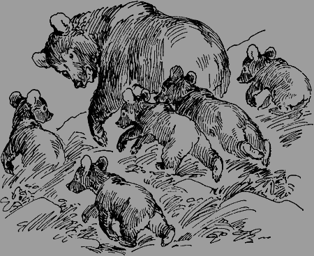 Мои питомцы и другие звери - img41.png