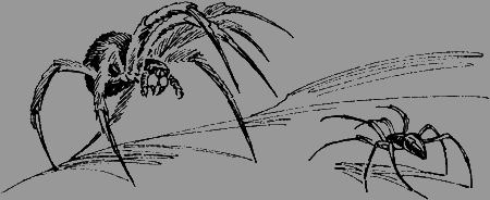 Мои питомцы и другие звери - img75.png