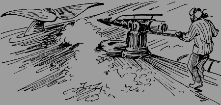 Мои питомцы и другие звери - img83.png