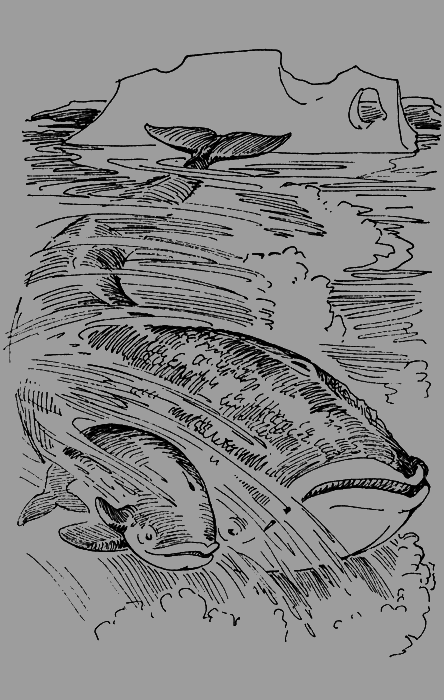 Мои питомцы и другие звери - img84.png