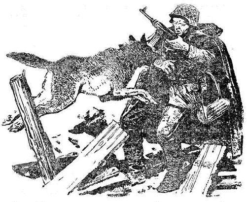 Про отряд Бороды - i_005.jpg