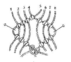 Макраме. Фриволите: Практическое руководство - i_027.png