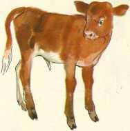 Малышка - i_022.jpg