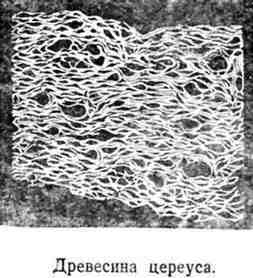 Путешествие с домашними растениями - pic_26.jpg